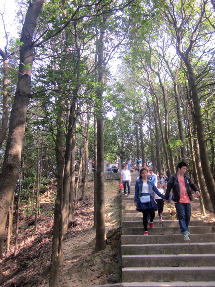 Greenway of Mount Yangtai3