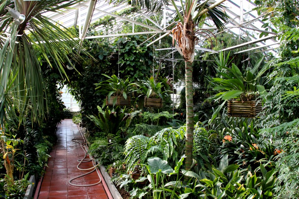 Greenhouse Hupisaaret Oulu 20130524 04