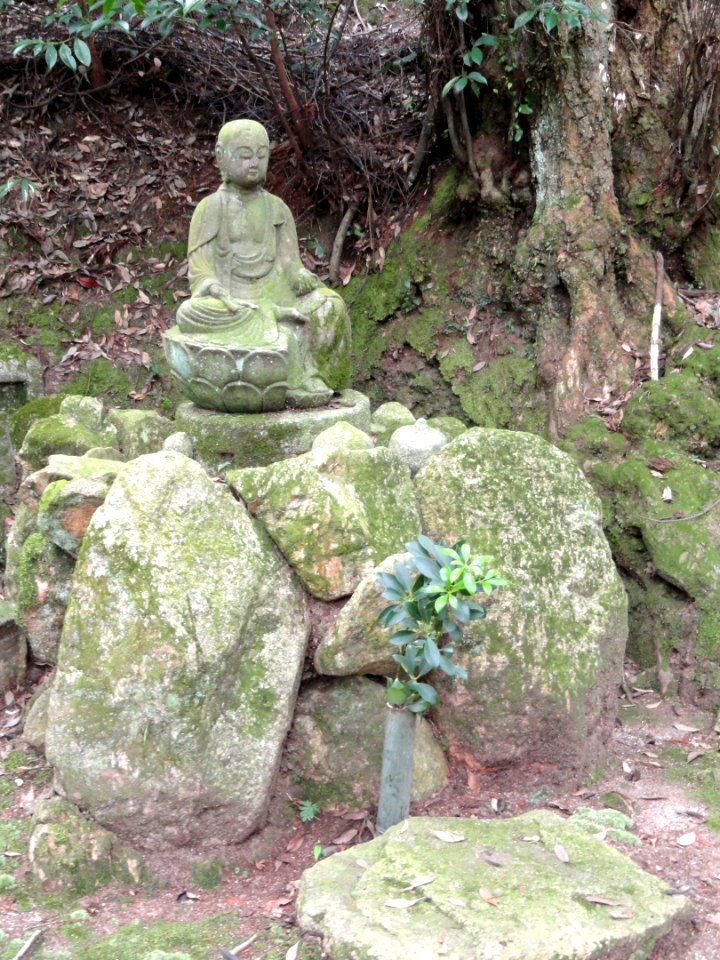 Graveyard - Homyoin Temple - Otsu, Shiga - DSC07573