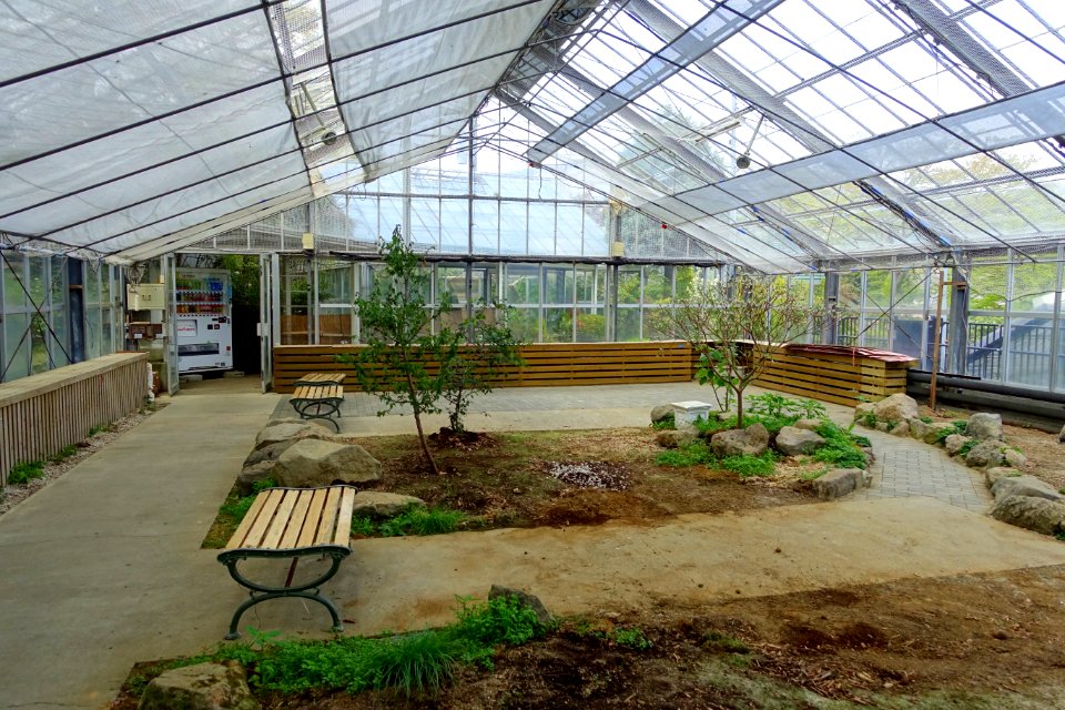 Greenhouse interior - Gora Park - Hakone, Kanagawa, Japan - DSC08532
