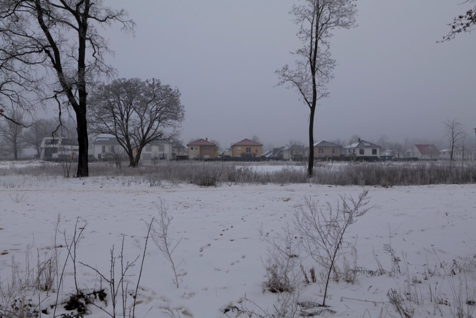 Greenfield in Dallgow-Döberitz with snow 2021-02-14 10
