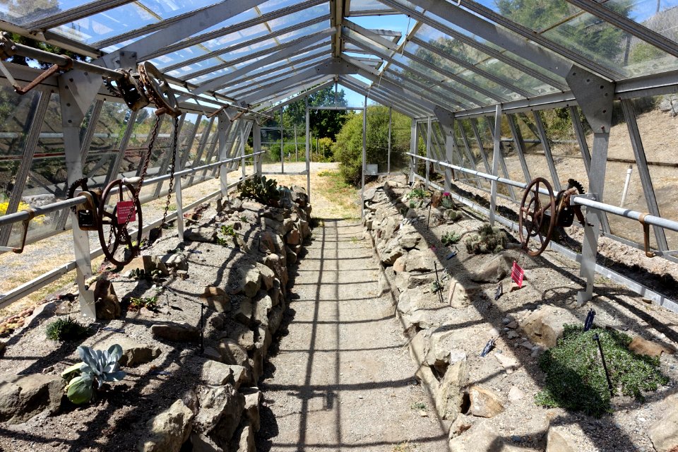 Greenhouse interior - UBC Botanical Garden - Vancouver, Canada - DSC08330