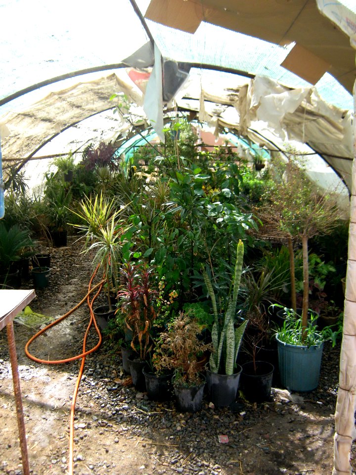 Greenhouse - Bazaar of Pottery - Nishapur 5
