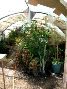 Greenhouse - Bazaar of Pottery - Nishapur 5