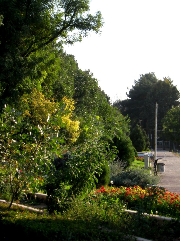 Green space - tree - sidewalk - omar khayyam planetarium - Nishapur 9