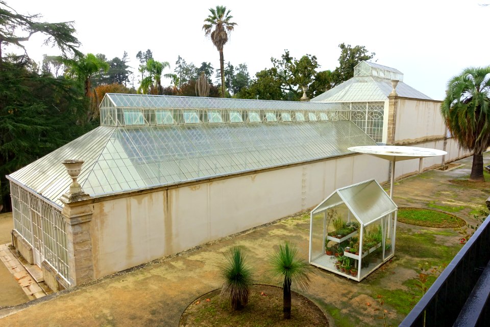 Greenhouse - Jardim Botânico da Universidade de Coimbra - Coimbra, Portugal - DSC08781