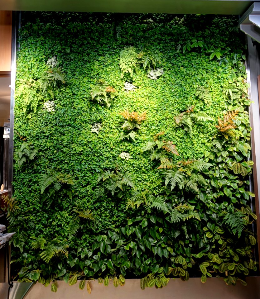 Green wall in the Holyoke Center - Harvard University - Cambridge, MA - DSC06539