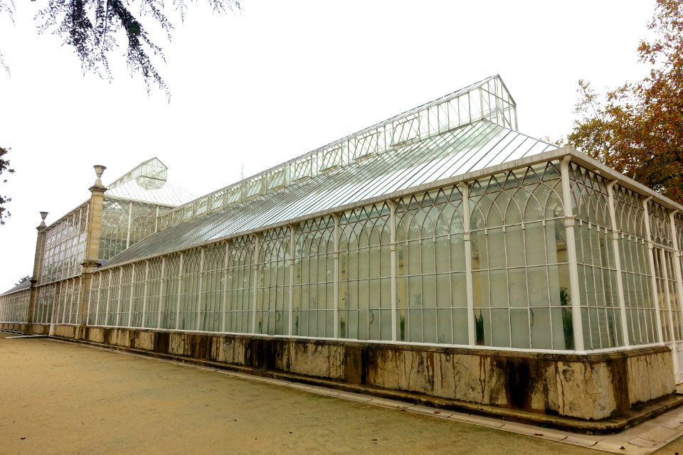 Greenhouse - Jardim Botânico da Universidade de Coimbra - Coimbra, Portugal - DSC08783