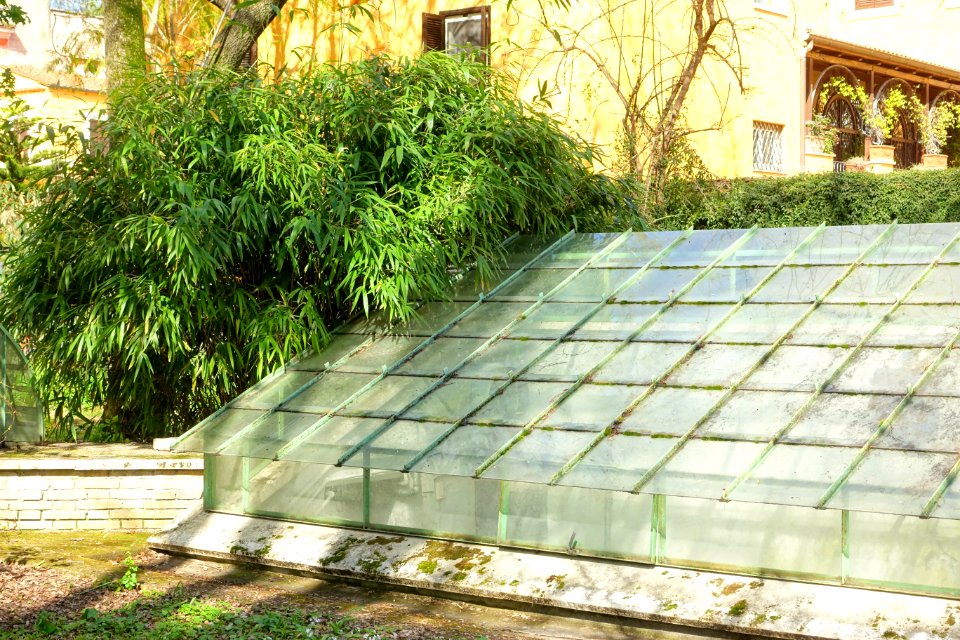 Greenhouse - Orto botanico - Rome, Italy - DSC09845