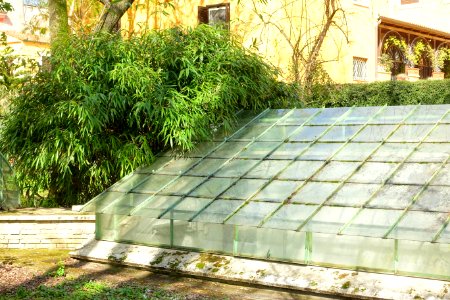 Greenhouse - Orto botanico - Rome, Italy - DSC09845
