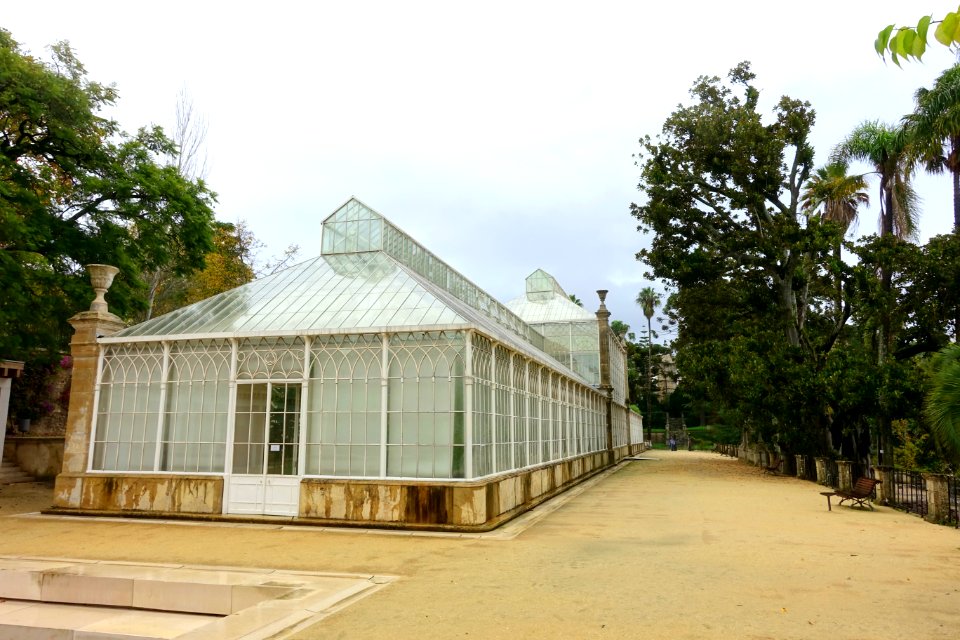 Greenhouse - Jardim Botânico da Universidade de Coimbra - Coimbra, Portugal - DSC08787
