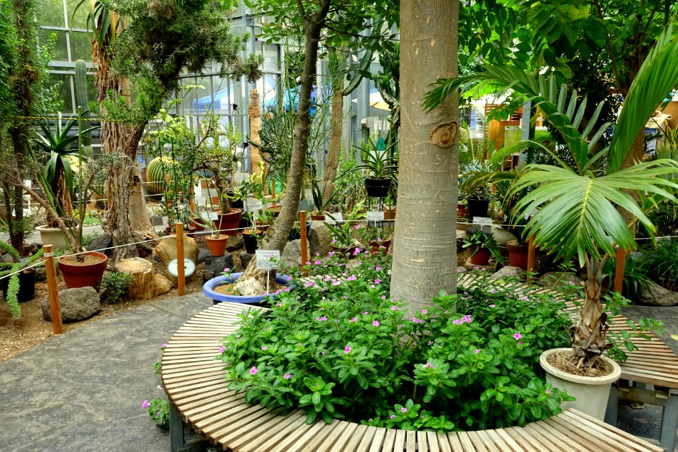 Greenhouse interior - Food and Agriculture Museum - Setagaya, Tokyo, Japan - DSC09846