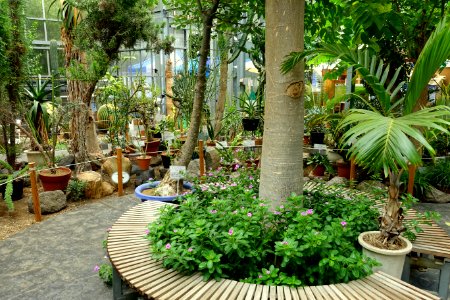 Greenhouse interior - Food and Agriculture Museum - Setagaya, Tokyo, Japan - DSC09846