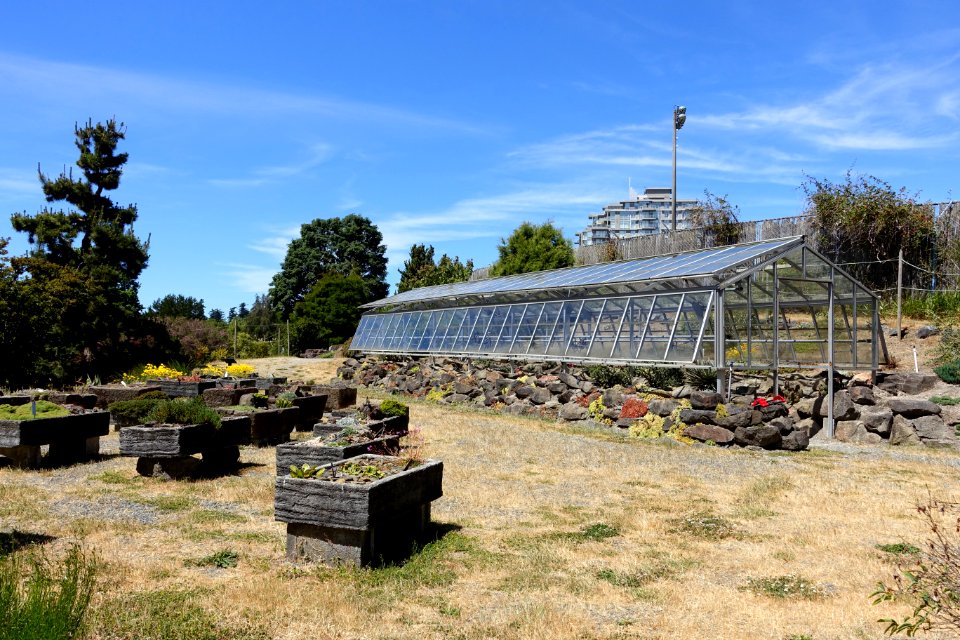 Greenhouse - UBC Botanical Garden - Vancouver, Canada - DSC08320