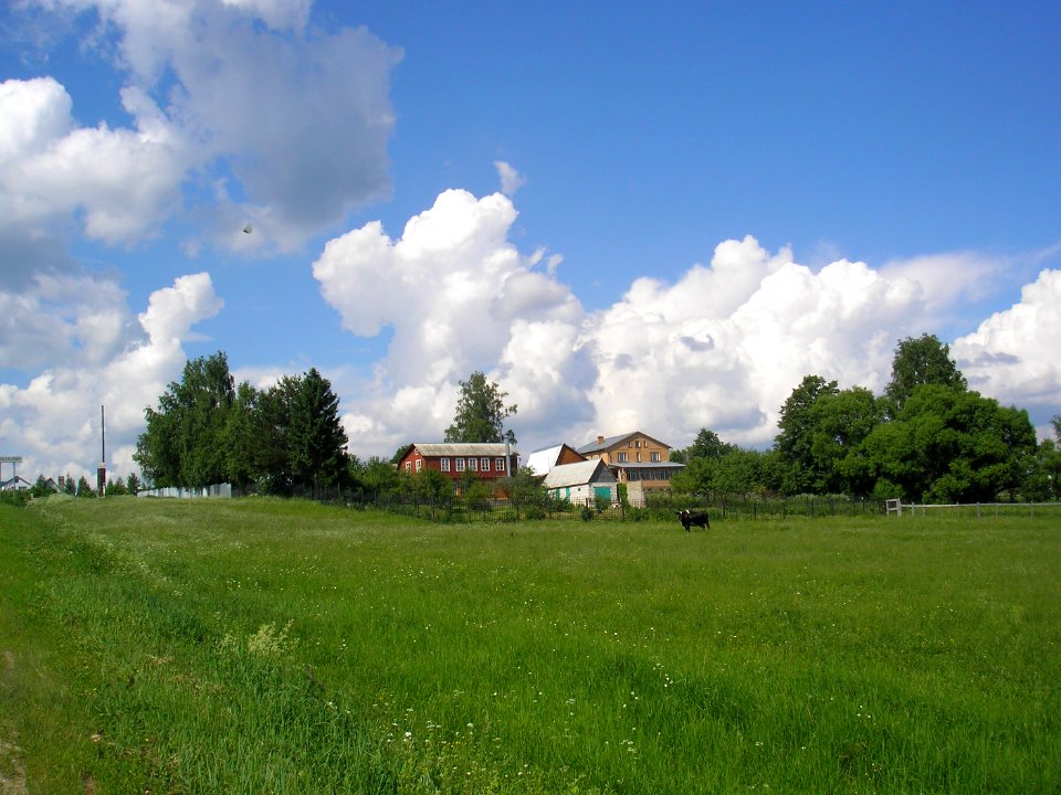 Gravornovo 8