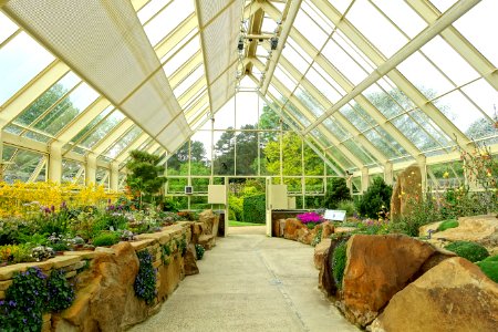 Greenhouse interior view - RHS Garden Harlow Carr - North Yorkshire, England - DSC01489