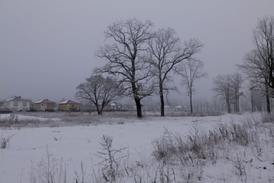 Greenfield in Dallgow-Döberitz with snow 2021-02-14 11