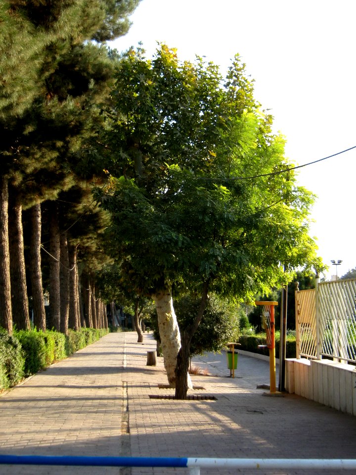 Green space - tree - sidewalk - omar khayyam planetarium - Nishapur 1