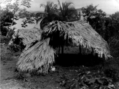 Gravhus. San Blas. Panama - SMVK - 004405
