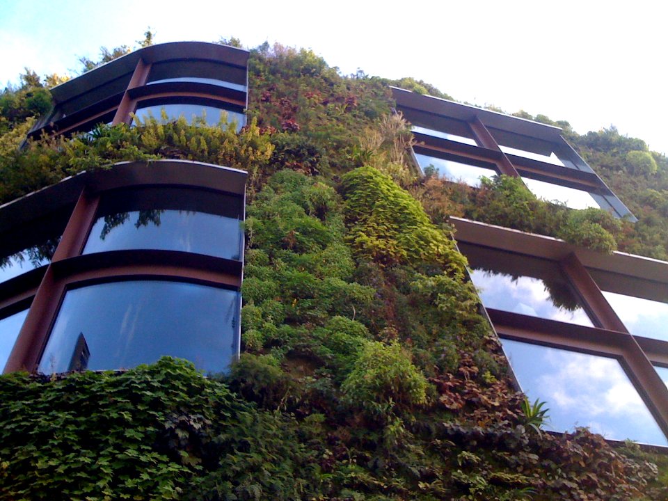 Green wall Paris