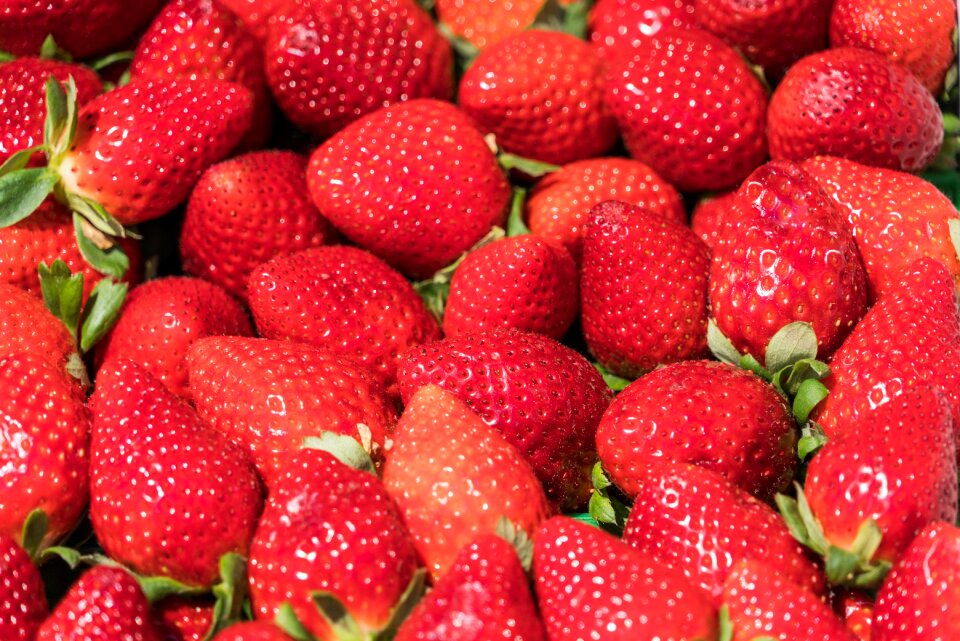 Healthy fresh red