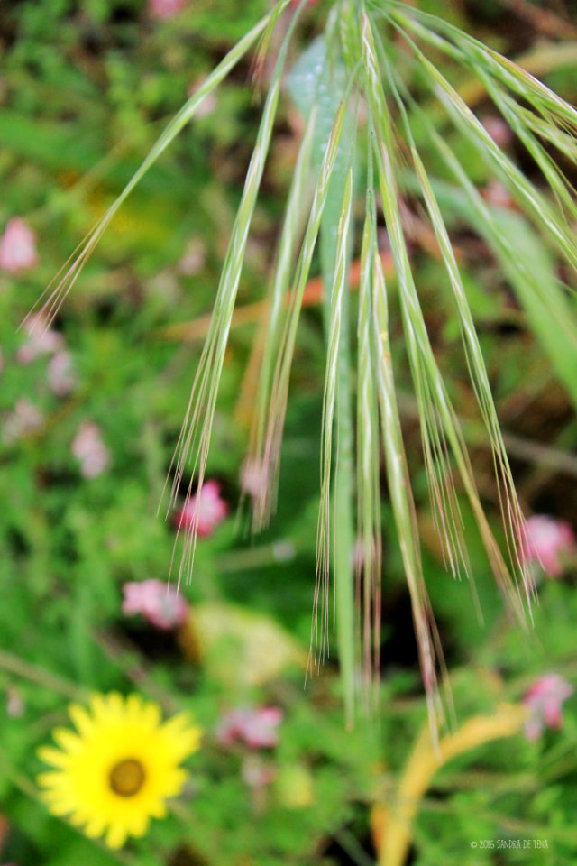 Green Zone (153335639)