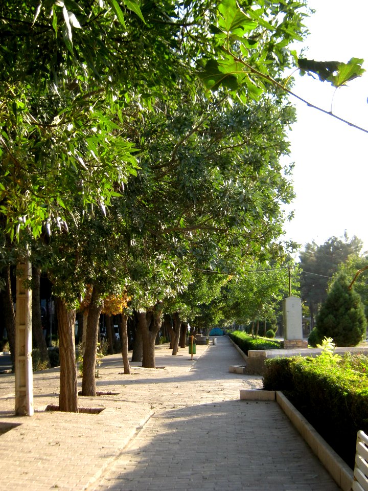 Green space - tree - sidewalk - omar khayyam planetarium - Nishapur 12