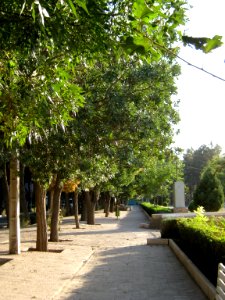 Green space - tree - sidewalk - omar khayyam planetarium - Nishapur 12