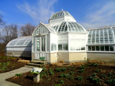 Greenhouse - Frick Art & Historical Center - Pittsburgh, PA - DSC05053