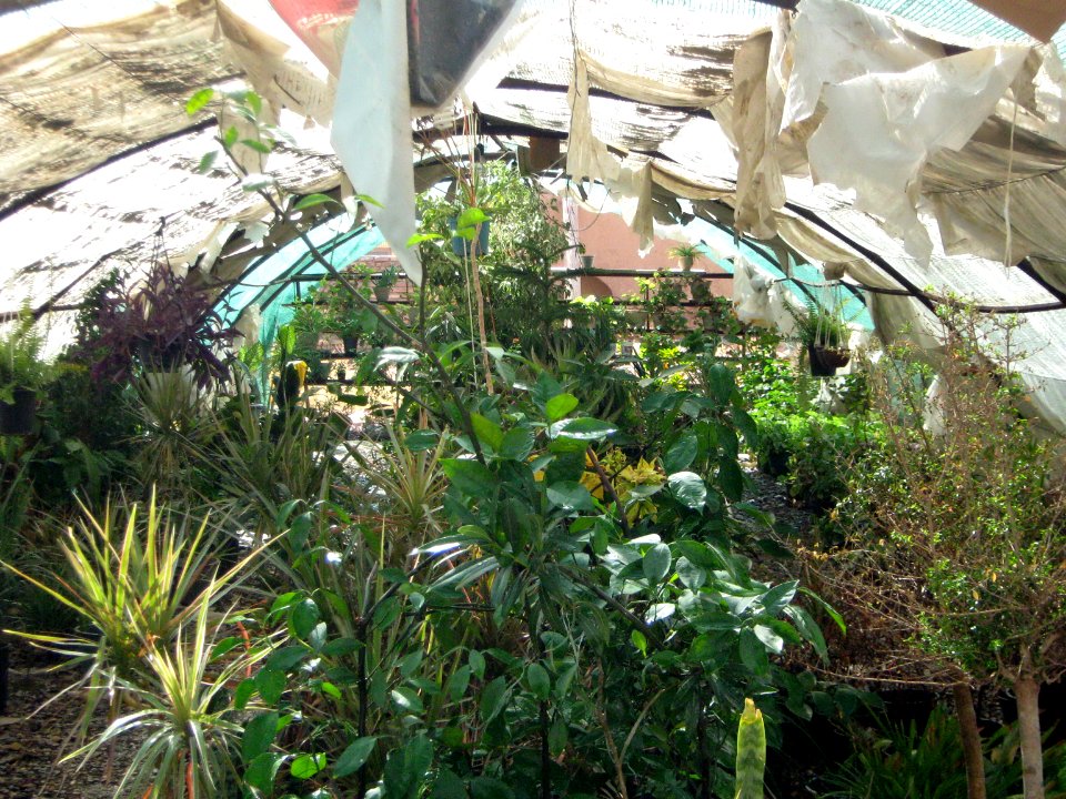 Greenhouse - Bazaar of Pottery - Nishapur 2