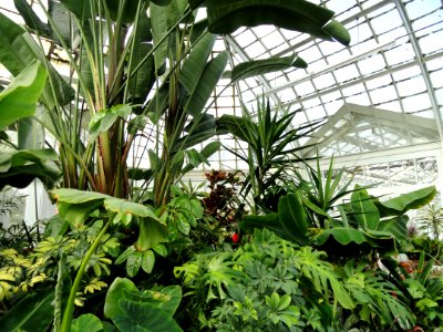 Greenhouse - Frick Art & Historical Center - Pittsburgh, PA - DSC05059