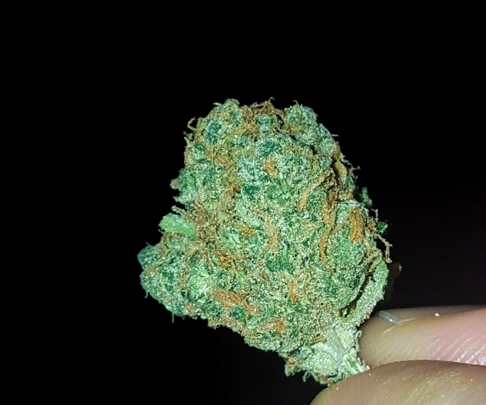 Green stuff 1e Hulp