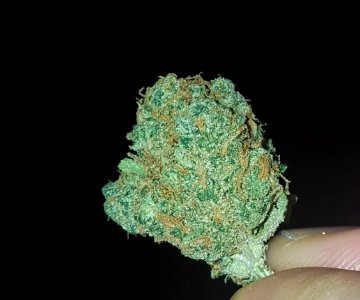 Green stuff 1e Hulp