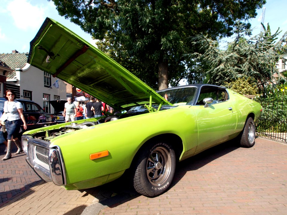 Green Dodge Charger pic2