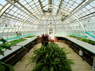 Greenhouse - Frick Art & Historical Center - Pittsburgh, PA - DSC05060