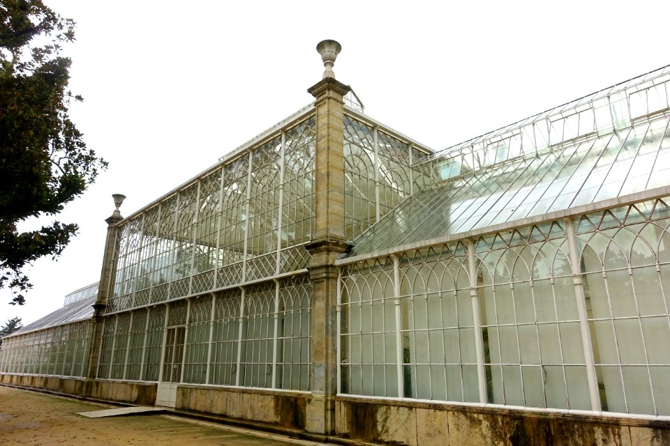 Greenhouse - Jardim Botânico da Universidade de Coimbra - Coimbra, Portugal - DSC08785