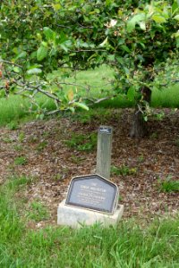 Governor Ted Strickland - Dawes Arboretum plaque - DSC02882