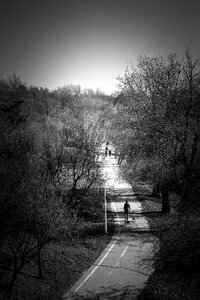 Calm park road