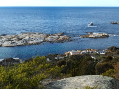 Governor Island Tasmania 201907025-015