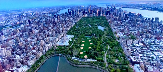 Green In The Middle Of Concrete Jungle (256972473)