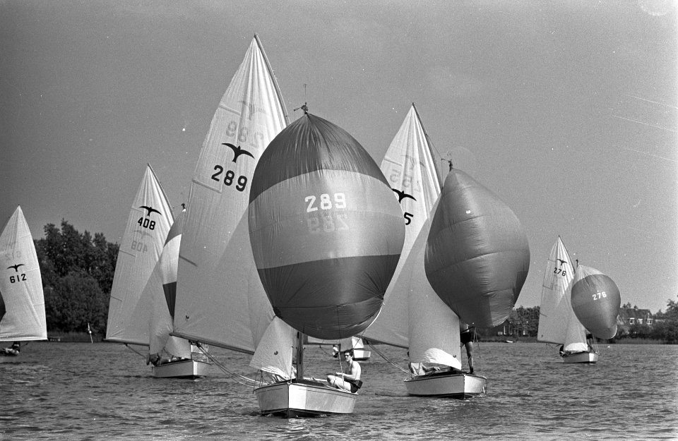 Goudse Zeilweek opde Reeuwijkse Plassen . De Valken met hun spinakers, Bestanddeelnr 921-4089