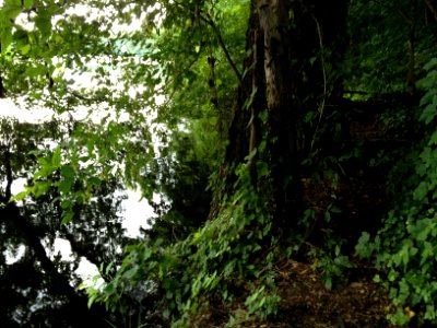 Green Planetopia