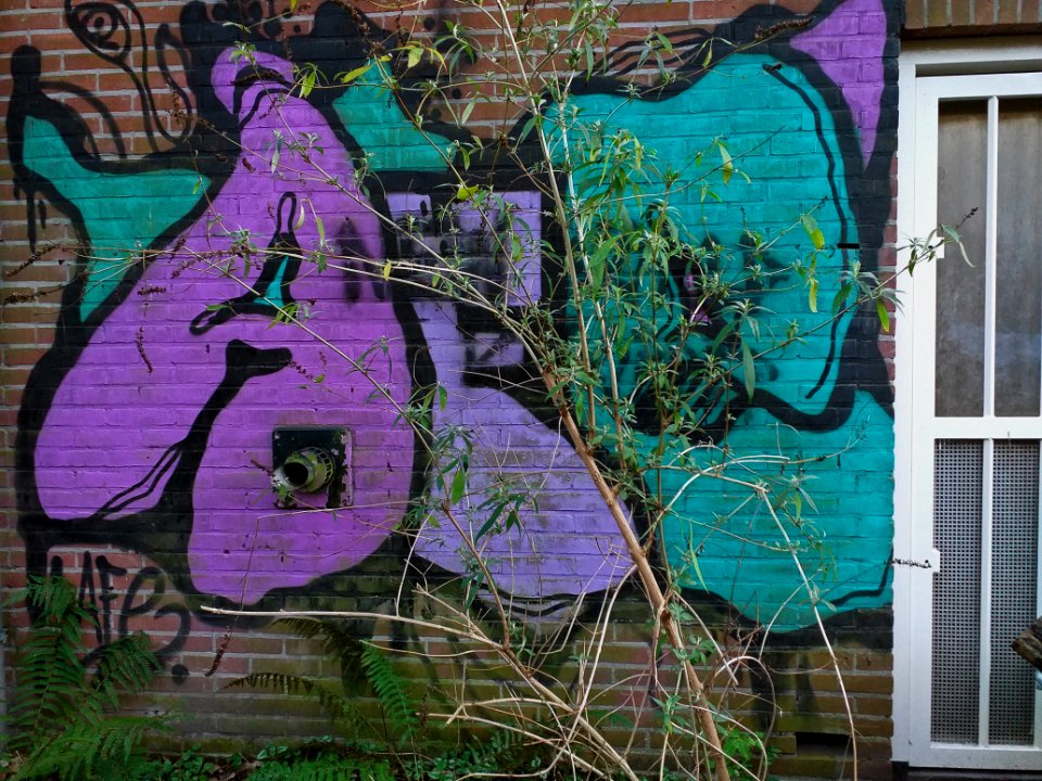Graffiti in Amsterdam city, photo of January 2020 by Fons Heijnsbroek