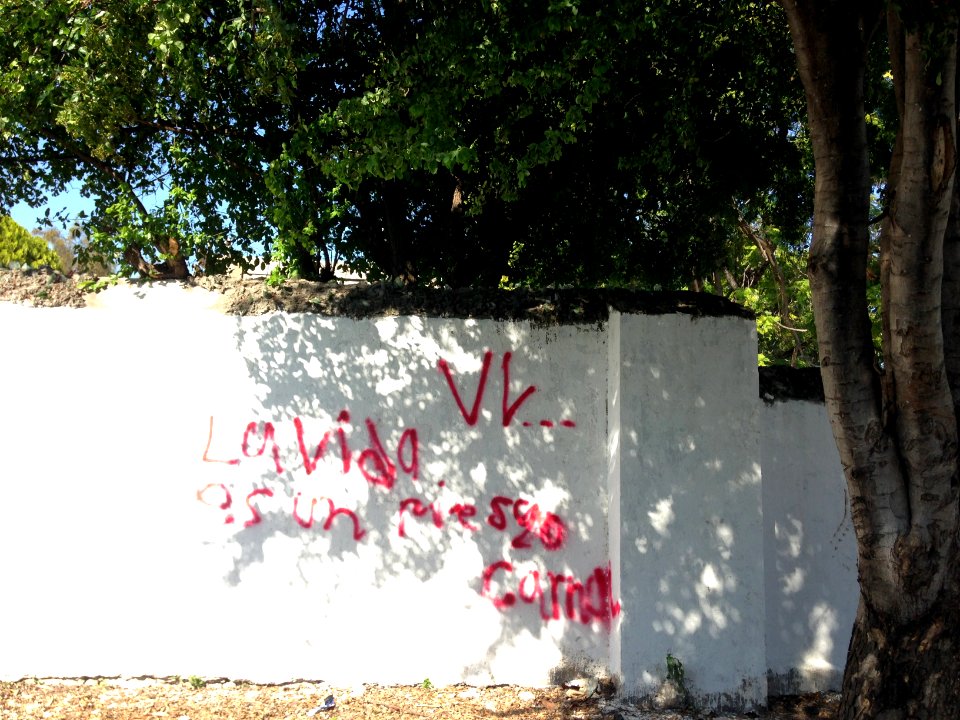 Grafitti en barda con frase vandalismo