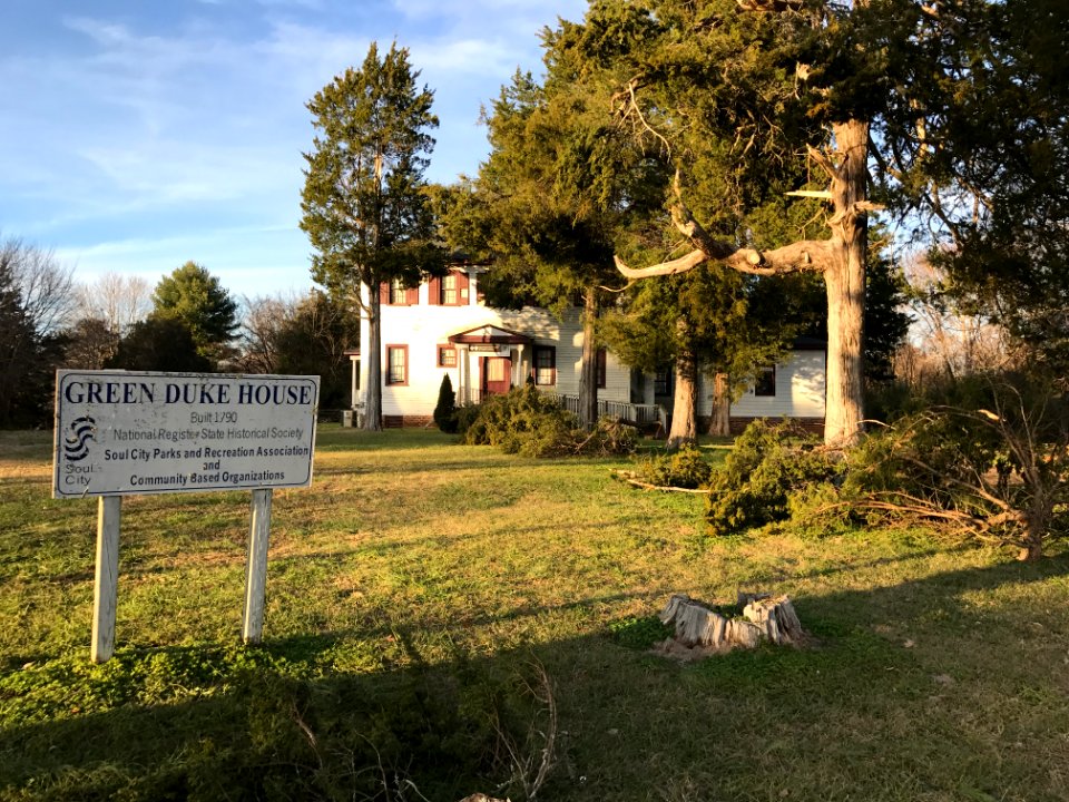 Green Duke House, Soul City