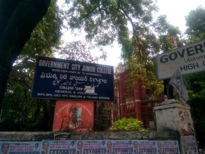 Government city college 