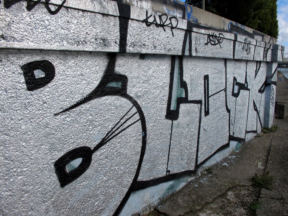 Graffiti à CourbevoieIMG 3381 25