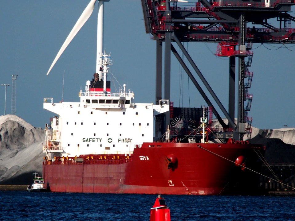 GOYA - IMO 9389825 in the Westhaven, Port of Amsterdam