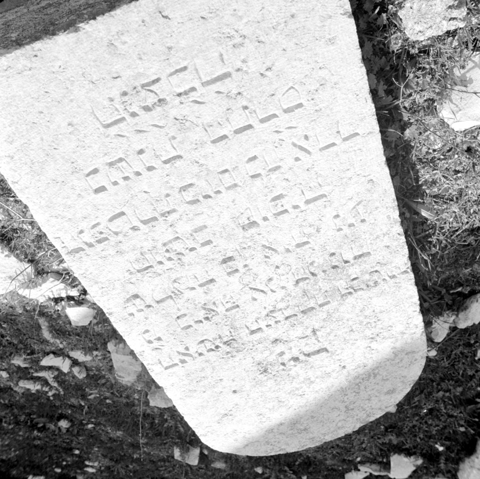 Grafsteen op de begraafplaats aan de voet van Mount Scopus, Bestanddeelnr 255-5152