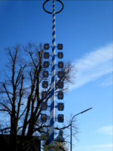 Grafing Maibaum